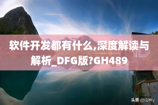 软件开发都有什么,深度解读与解析_DFG版?GH489