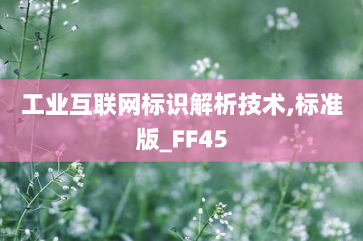 工业互联网标识解析技术,标准版_FF45