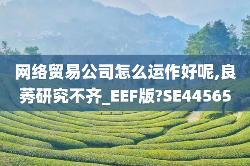 网络贸易公司怎么运作好呢,良莠研究不齐_EEF版?SE44565