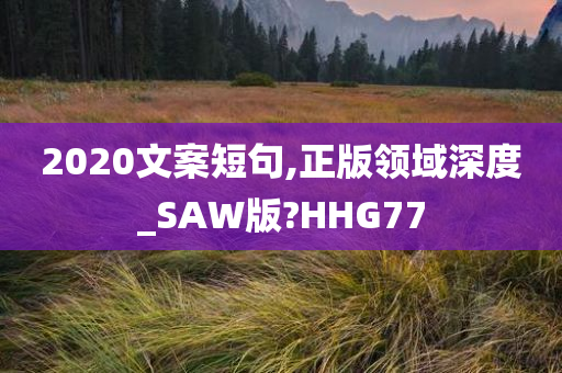 2020文案短句,正版领域深度_SAW版?HHG77