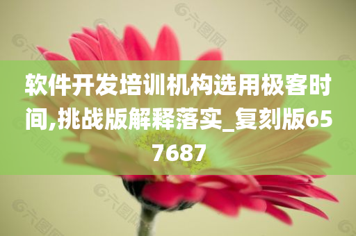 软件开发培训机构选用极客时间,挑战版解释落实_复刻版657687