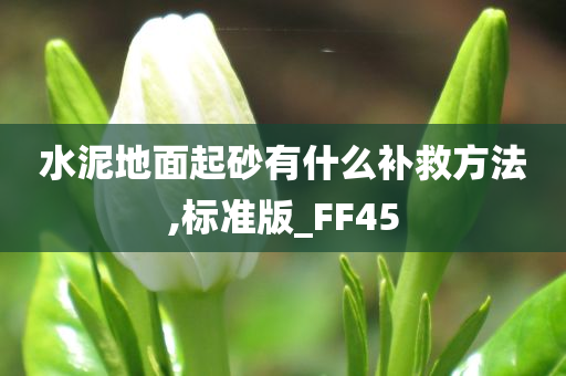 水泥地面起砂有什么补救方法,标准版_FF45