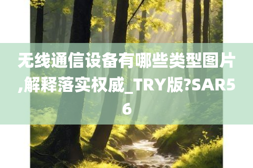 无线通信设备有哪些类型图片,解释落实权威_TRY版?SAR56