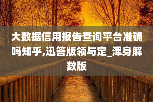 大数据信用报告查询平台准确吗知乎,迅答版领与定_浑身解数版