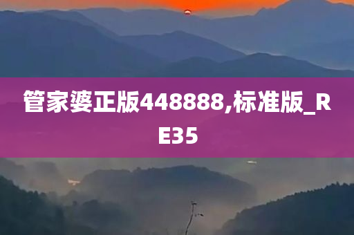 管家婆正版448888,标准版_RE35