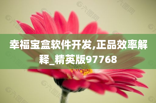 幸福宝盒软件开发,正品效率解释_精英版97768