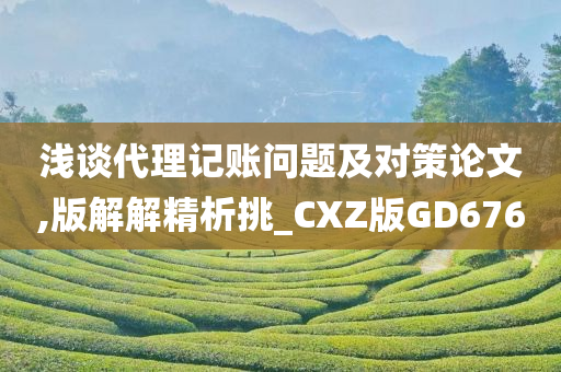 浅谈代理记账问题及对策论文,版解解精析挑_CXZ版GD676