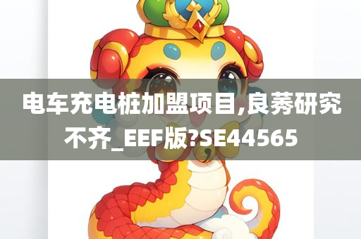 电车充电桩加盟项目,良莠研究不齐_EEF版?SE44565