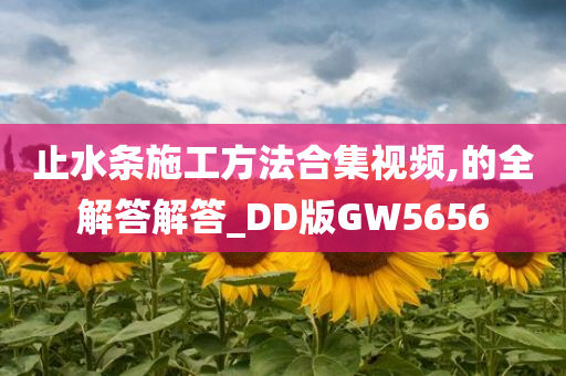 止水条施工方法合集视频,的全解答解答_DD版GW5656