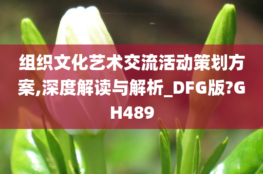 组织文化艺术交流活动策划方案,深度解读与解析_DFG版?GH489