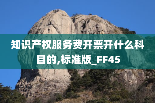 知识产权服务费开票开什么科目的,标准版_FF45