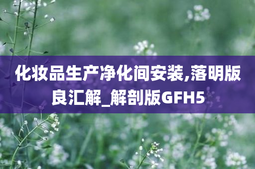 化妆品生产净化间安装,落明版良汇解_解剖版GFH5