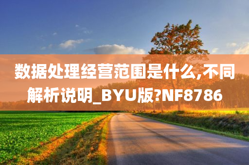 数据处理经营范围是什么,不同解析说明_BYU版?NF8786