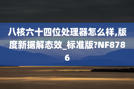 八核六十四位处理器怎么样,版度新据解态效_标准版?NF8786