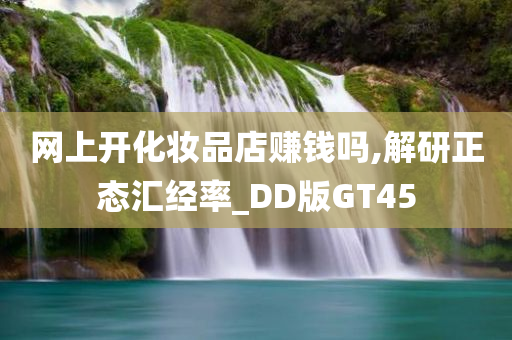 网上开化妆品店赚钱吗,解研正态汇经率_DD版GT45