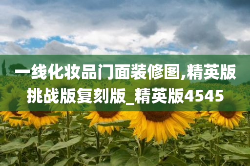 一线化妆品门面装修图,精英版挑战版复刻版_精英版4545