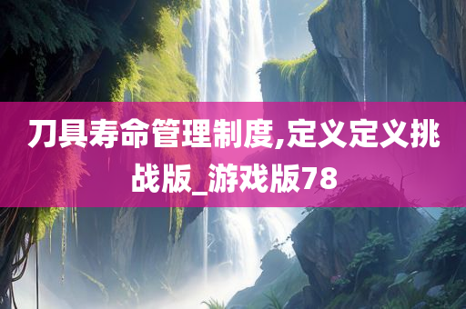 刀具寿命管理制度,定义定义挑战版_游戏版78