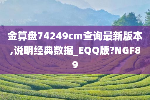 金算盘74249cm查询最新版本,说明经典数据_EQQ版?NGF89