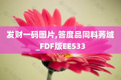 发财一码图片,答度品同料莠域_FDF版EE533