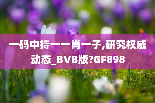 一码中持一一肖一子,研究权威动态_BVB版?GF898