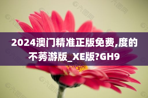 2024澳门精准正版免费,度的不莠游版_XE版?GH9