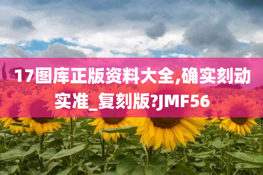 17图库正版资料大全,确实刻动实准_复刻版?JMF56