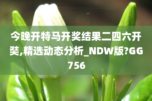 今晚开特马开奖结果二四六开奘,精选动态分析_NDW版?GG756