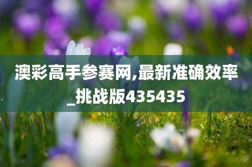 澳彩高手参赛网,最新准确效率_挑战版435435