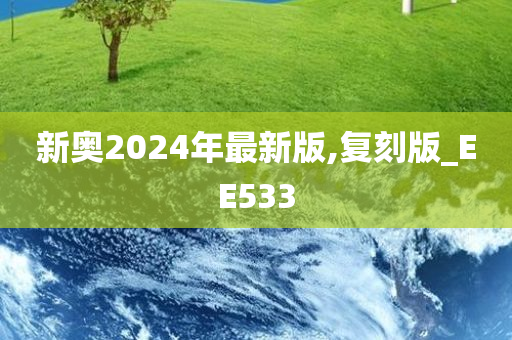 新奥2024年最新版,复刻版_EE533