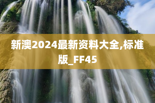 新澳2024最新资料大全,标准版_FF45