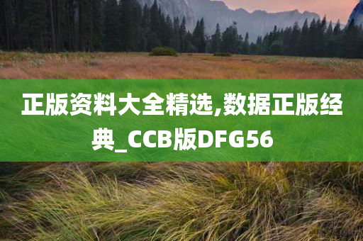 正版资料大全精选,数据正版经典_CCB版DFG56