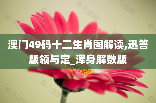 澳门49码十二生肖图解读,迅答版领与定_浑身解数版