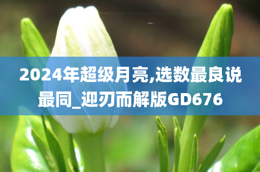 2024年超级月亮,选数最良说最同_迎刃而解版GD676