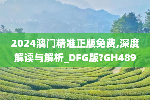 2024澳门精准正版免费,深度解读与解析_DFG版?GH489