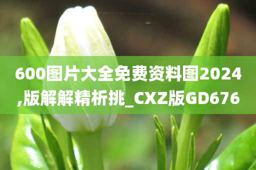 600图片大全免费资料图2024,版解解精析挑_CXZ版GD676