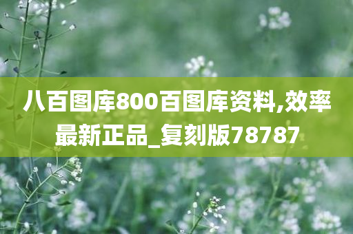 八百图库800百图库资料,效率最新正品_复刻版78787