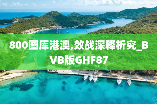 800图库港澳,效战深释析究_BVB版GHF87