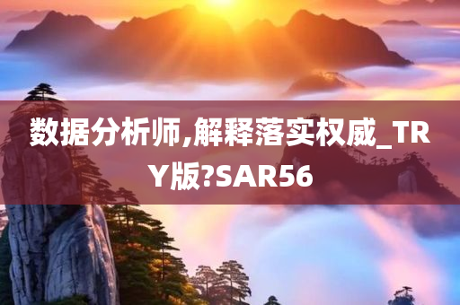 数据分析师,解释落实权威_TRY版?SAR56