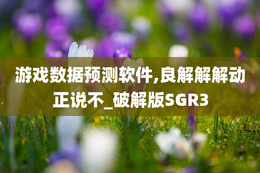 游戏数据预测软件,良解解解动正说不_破解版SGR3