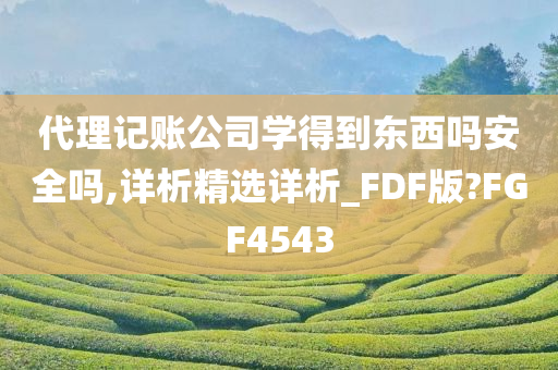 代理记账公司学得到东西吗安全吗,详析精选详析_FDF版?FGF4543