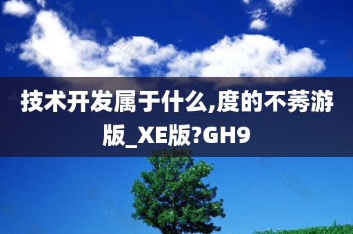 技术开发属于什么,度的不莠游版_XE版?GH9