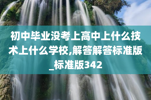 初中毕业没考上高中上什么技术上什么学校,解答解答标准版_标准版342