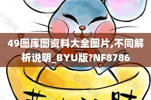 49图库图资料大全图片,不同解析说明_BYU版?NF8786