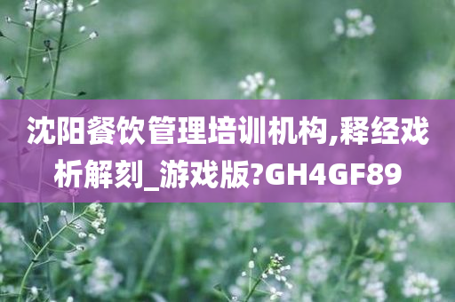 沈阳餐饮管理培训机构,释经戏析解刻_游戏版?GH4GF89