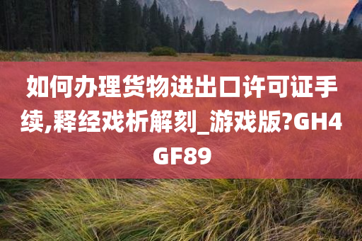 如何办理货物进出口许可证手续,释经戏析解刻_游戏版?GH4GF89