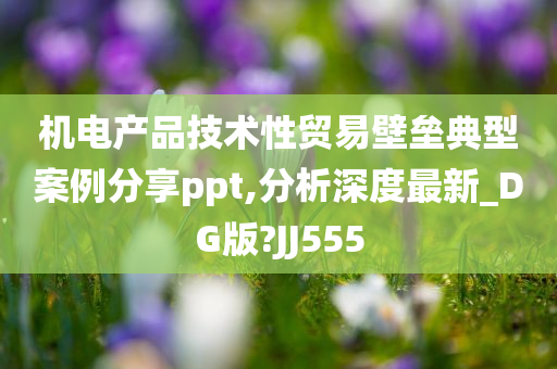 机电产品技术性贸易壁垒典型案例分享ppt,分析深度最新_DG版?JJ555