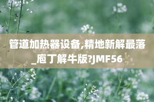 管道加热器设备,精地新解最落_庖丁解牛版?JMF56