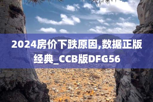 2024房价下跌原因,数据正版经典_CCB版DFG56