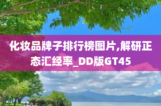 化妆品牌子排行榜图片,解研正态汇经率_DD版GT45