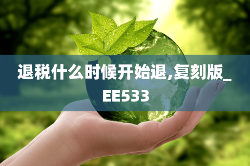 退税什么时候开始退,复刻版_EE533